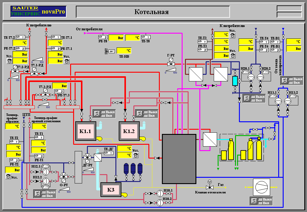 download professional web